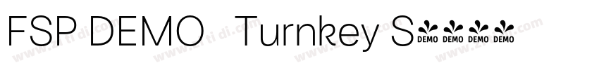 FSP DEMO   Turnkey S字体转换
